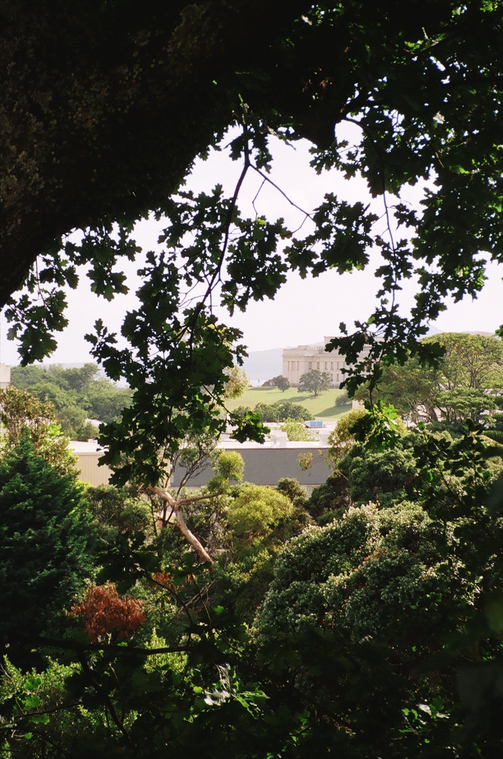 Auckland Museum Grounds