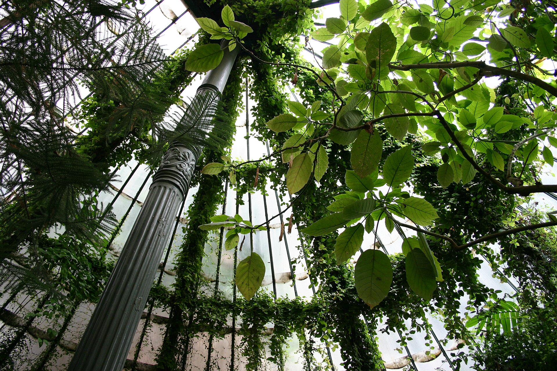 Real Jardín Botánico