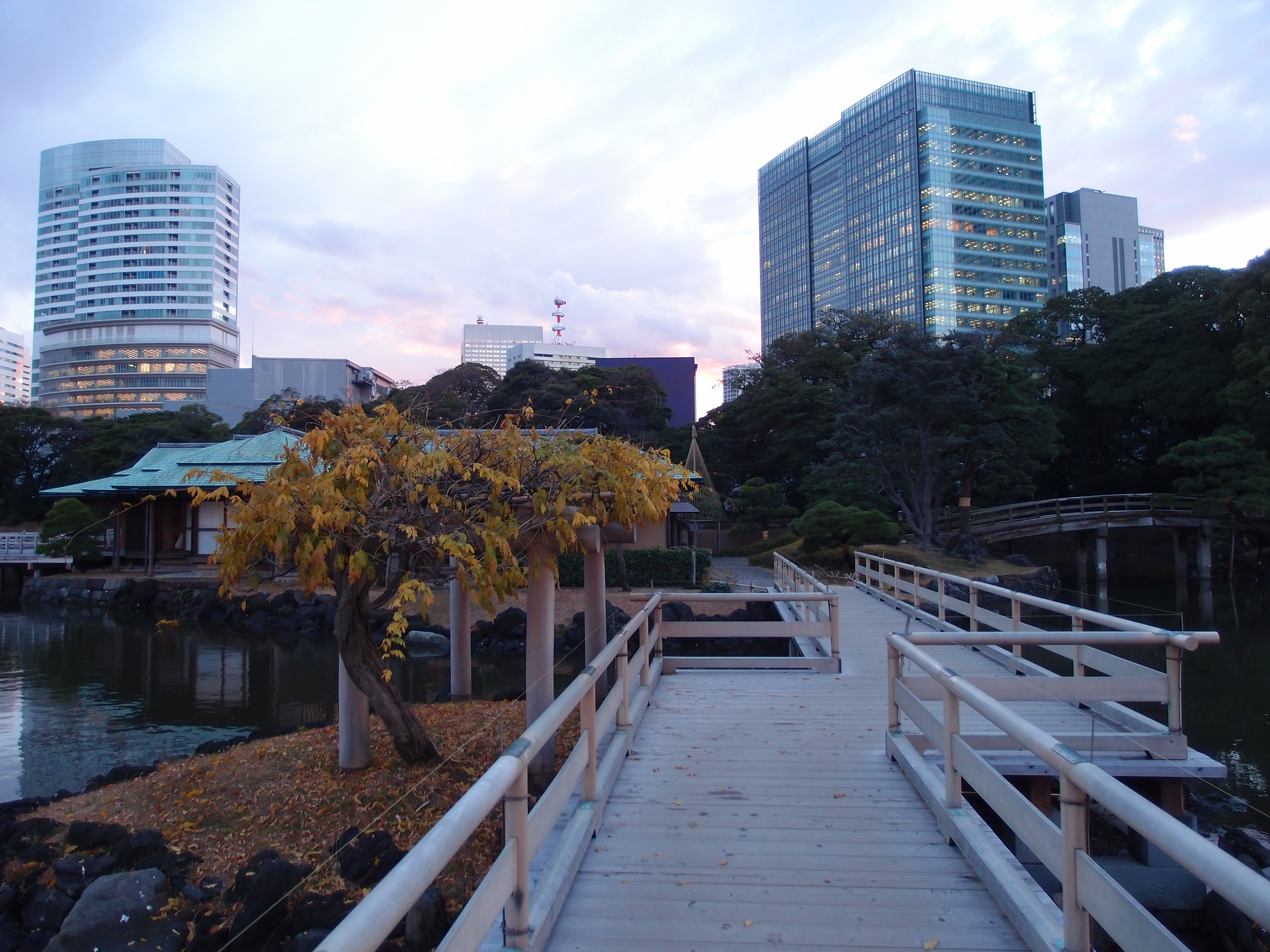 Hama-rikyu Gardens
