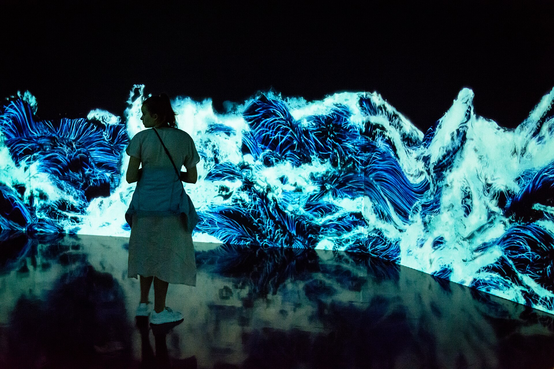teamLab Borderless