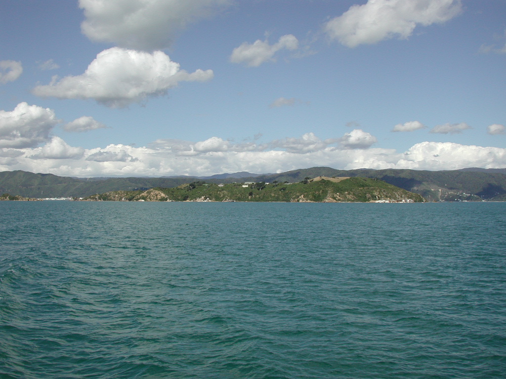 Matiu / Somes Island